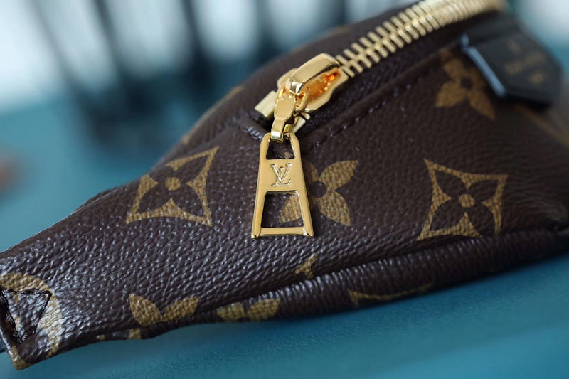 Alice bags - Louis Vuittons  - 10341