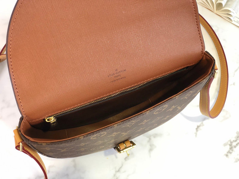 Alice Bags- Louis Vuittons  - 16016