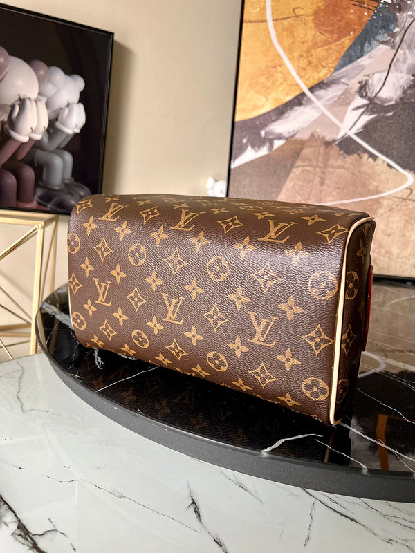 Alice bags - Louis Vuittons  - 15728