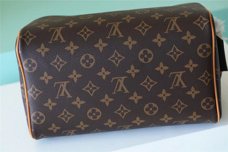 Alice bags - Louis Vuittons  - 10664