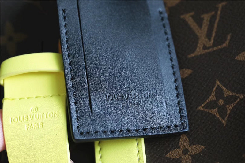 Alice bags - Louis Vuittons  - 11207