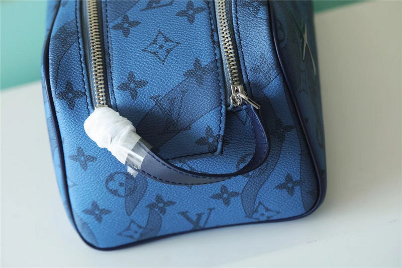 Alice bags - Louis Vuittons  - 10665