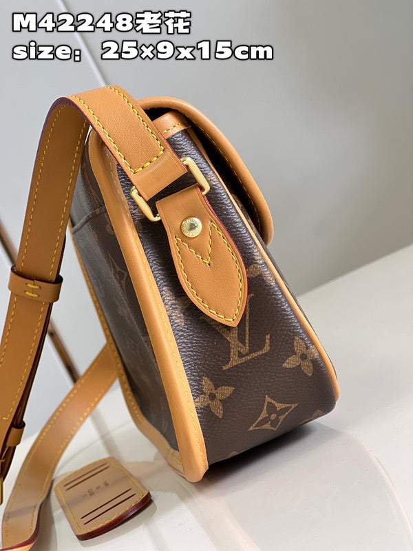 Alice Bags- Louis Vuittons  - 15909
