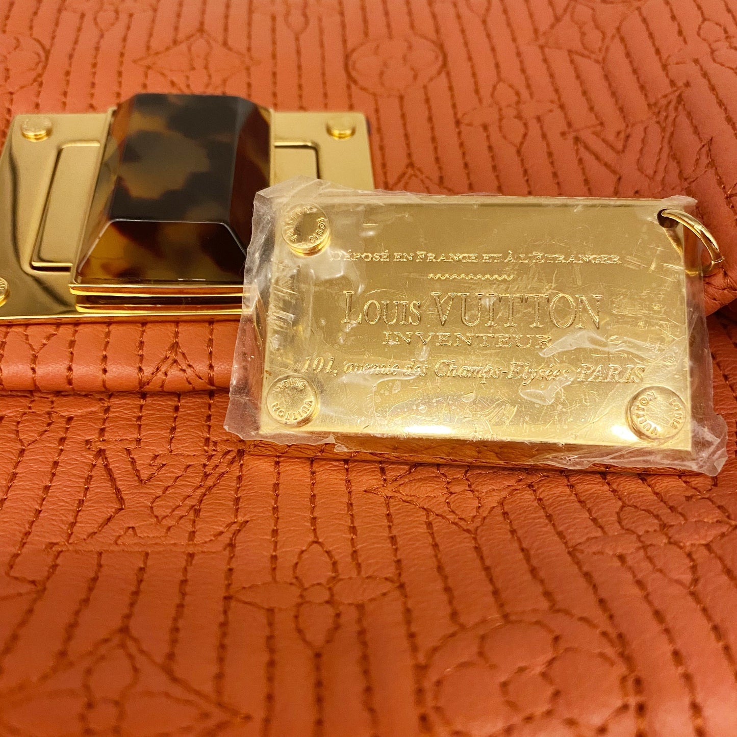 Louis Vuitton Clutch TWS pop