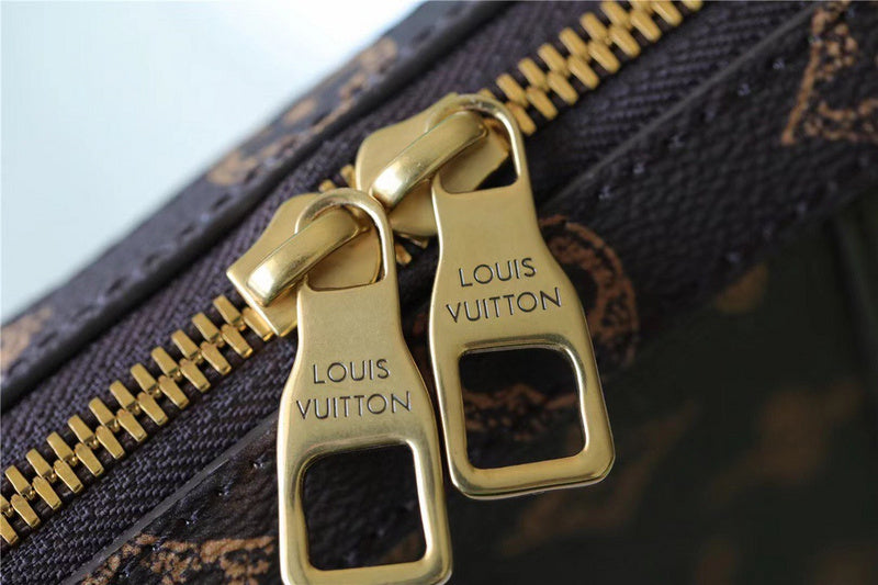 Alice bags - Louis Vuittons  - 10108