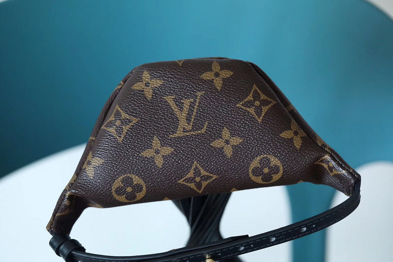 Alice bags - Louis Vuittons  - 10341
