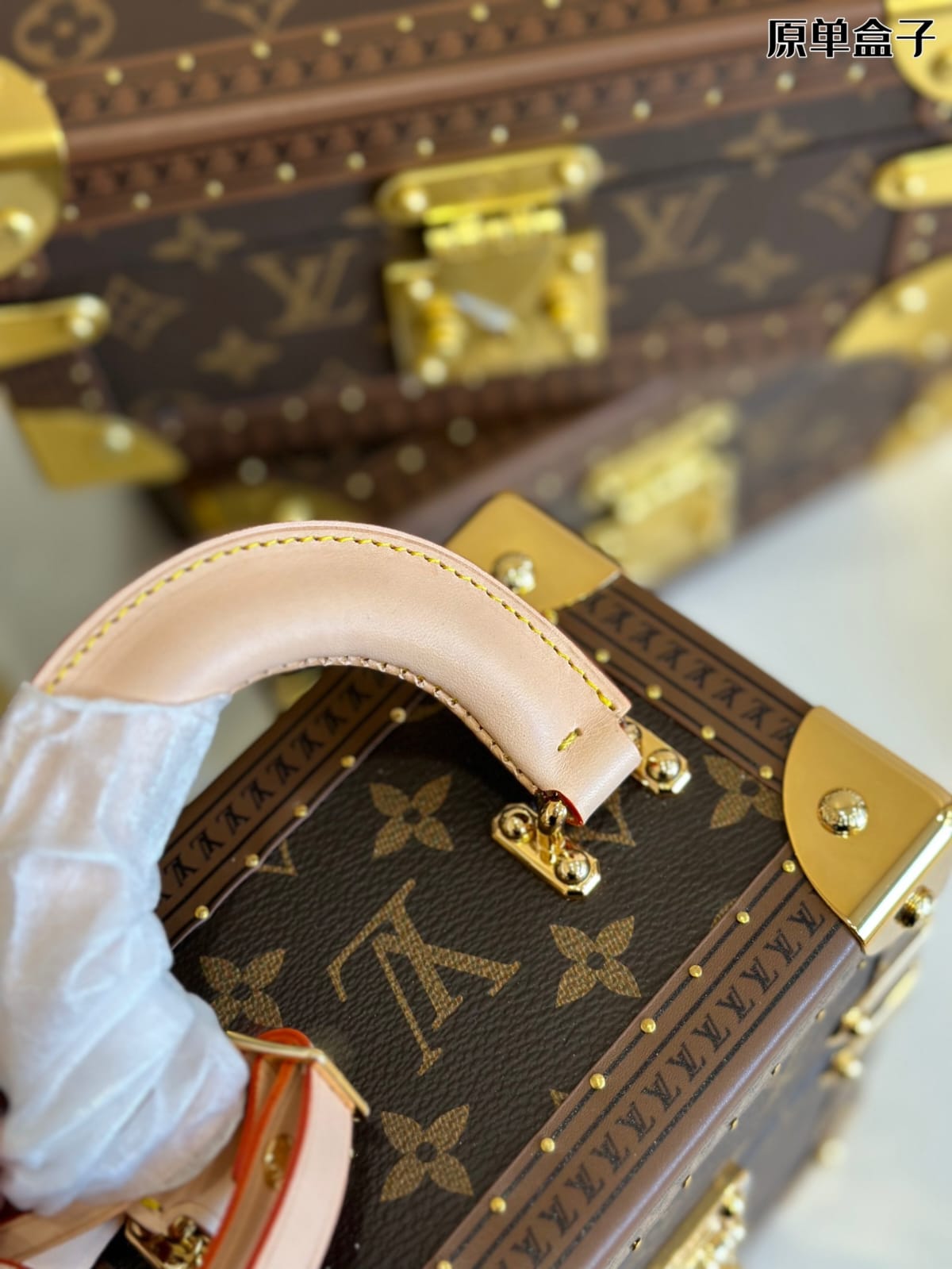 Louis Vuitton Camera Box Handbag ( Lushentic Version )
