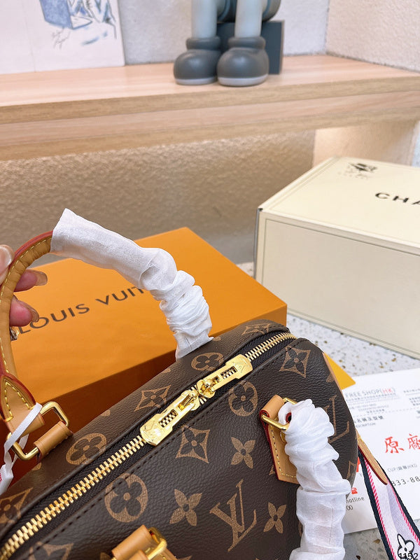 Alice bags - Louis Vuittons  - 15143