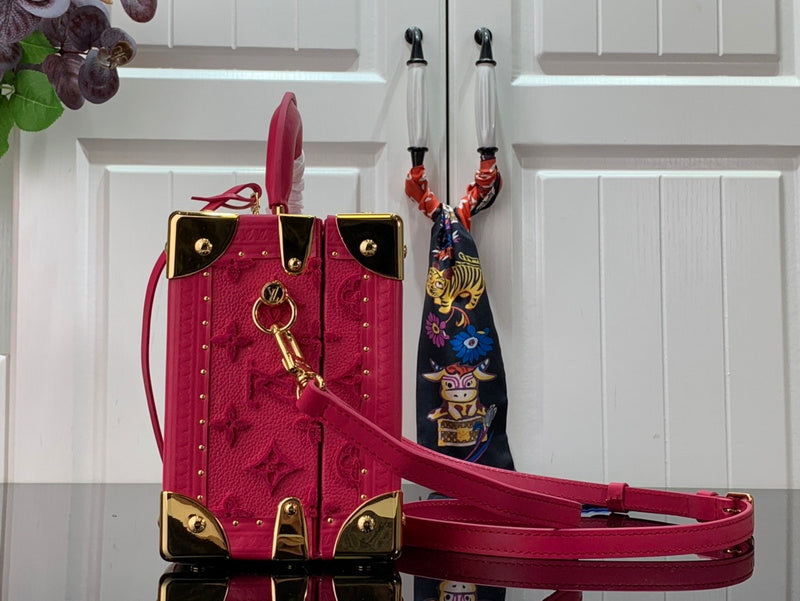 Alice Bags- Louis Vuittons  - 16572
