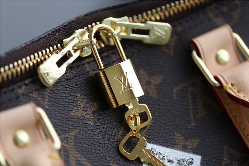 Alice bags - Louis Vuittons  - 9451