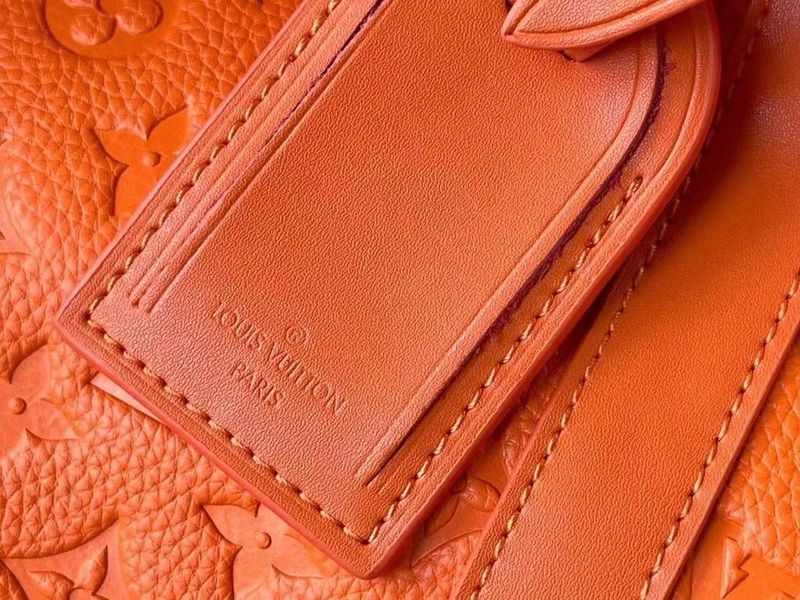 Alice Bags- Louis Vuittons  - 16358