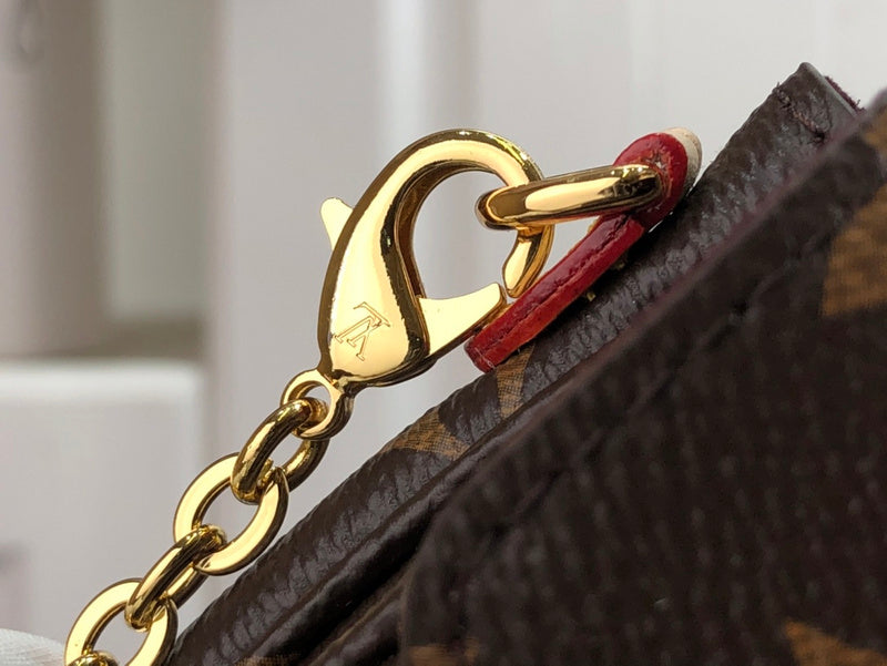 Alice Bags- Louis Vuittons  - 16533