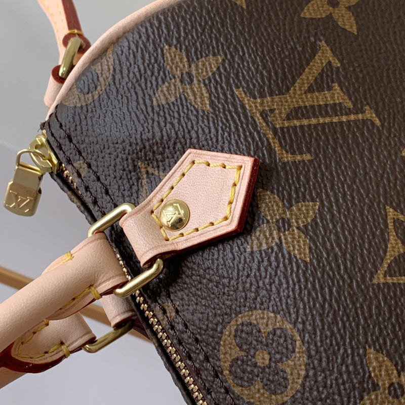 Alice Bags- Louis Vuittons  - 16247