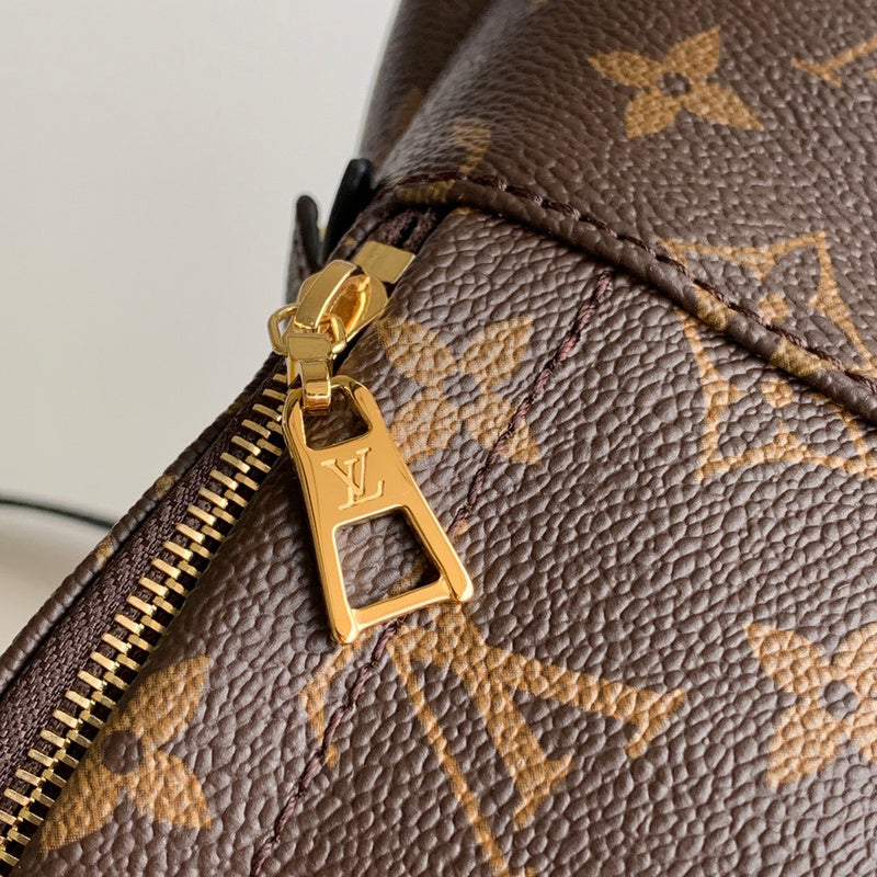 Alice Bags- Louis Vuittons  - 16303
