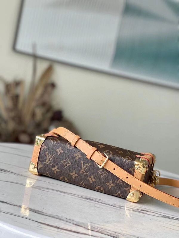 Alice  Bags- Louis Vuittons  - 15932
