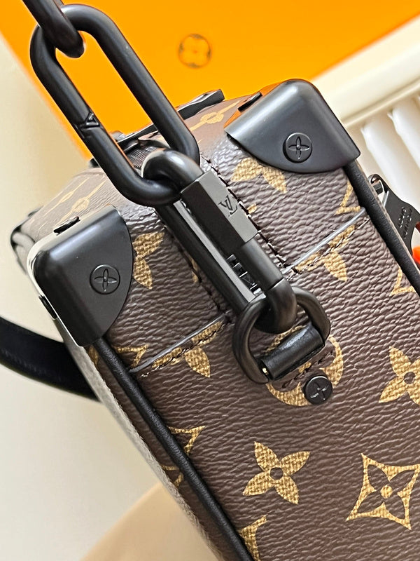 Alice Bags- Louis Vuittons  - 16138