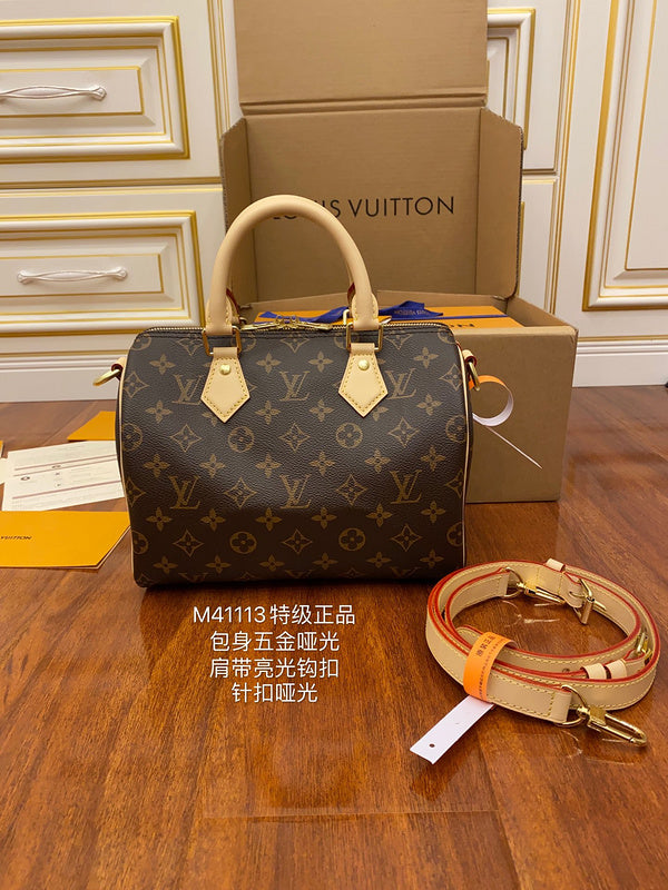 Alice Bags- Louis Vuittons  - 16196