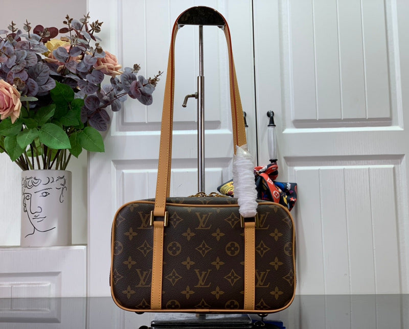 Alice Bags- Louis Vuittons  - 16373