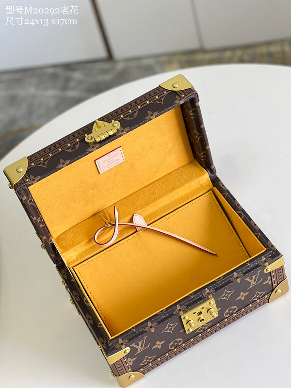 Alice Bags- Louis Vuittons  - 16224