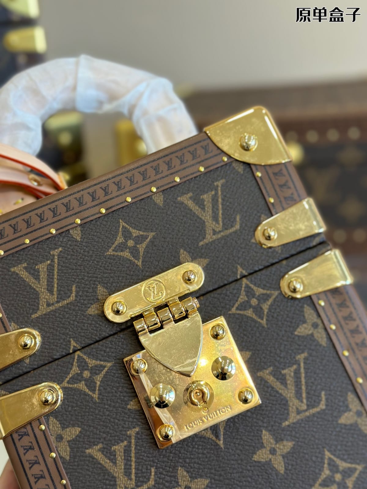Louis Vuitton Camera Box Handbag ( Lushentic Version )