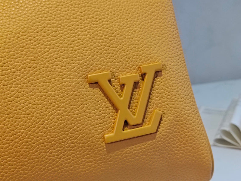 Alice Bags- Louis Vuittons  - 16075