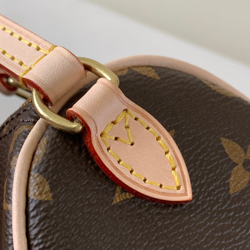 Alice Bags- Louis Vuittons  - 16247