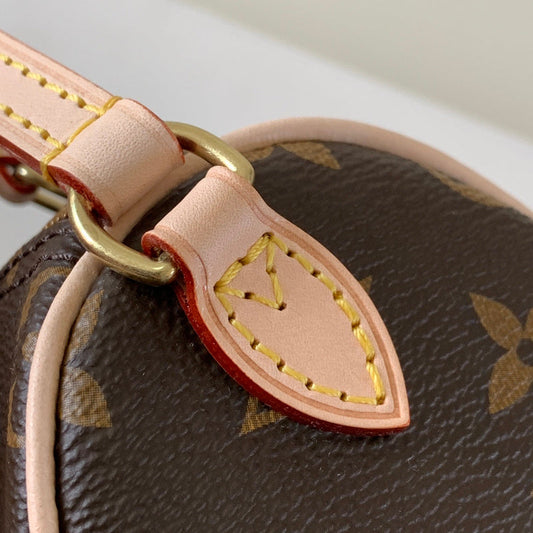 Alice Bags- Louis Vuittons  - 16247