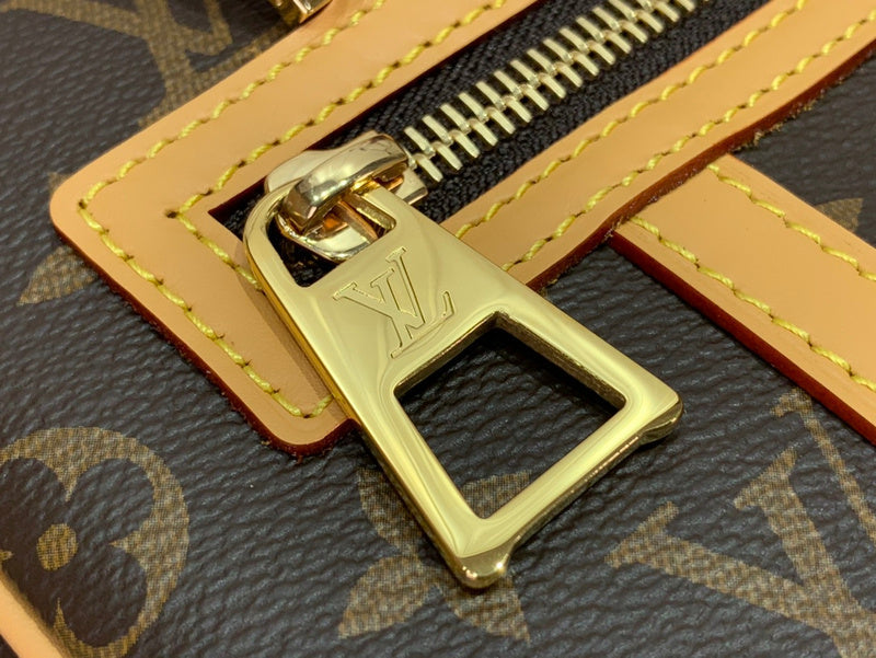 Alice Bags- Louis Vuittons  - 16373