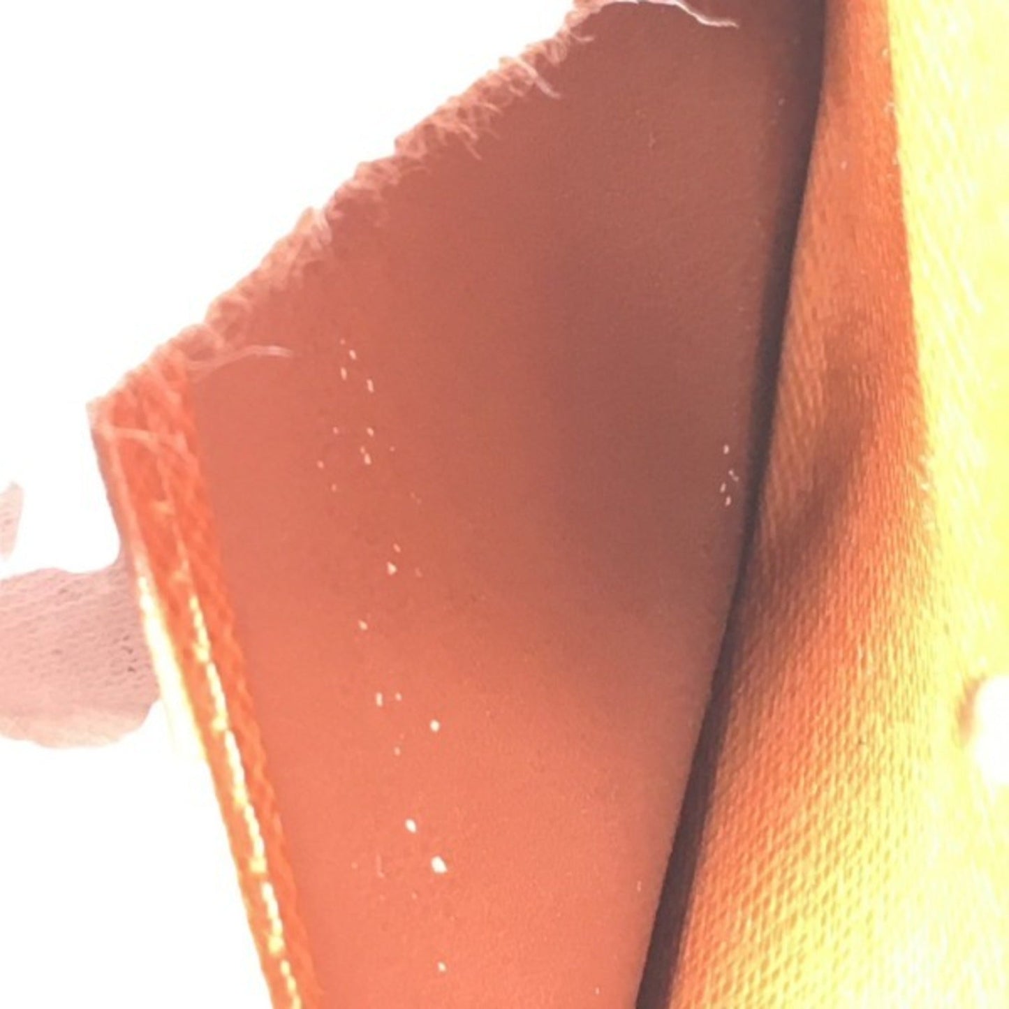 LOUIS VUITTON Agenda PM Wallet