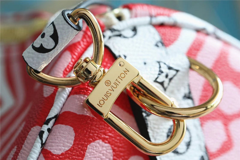 Alice bags - Louis Vuittons  - 11209