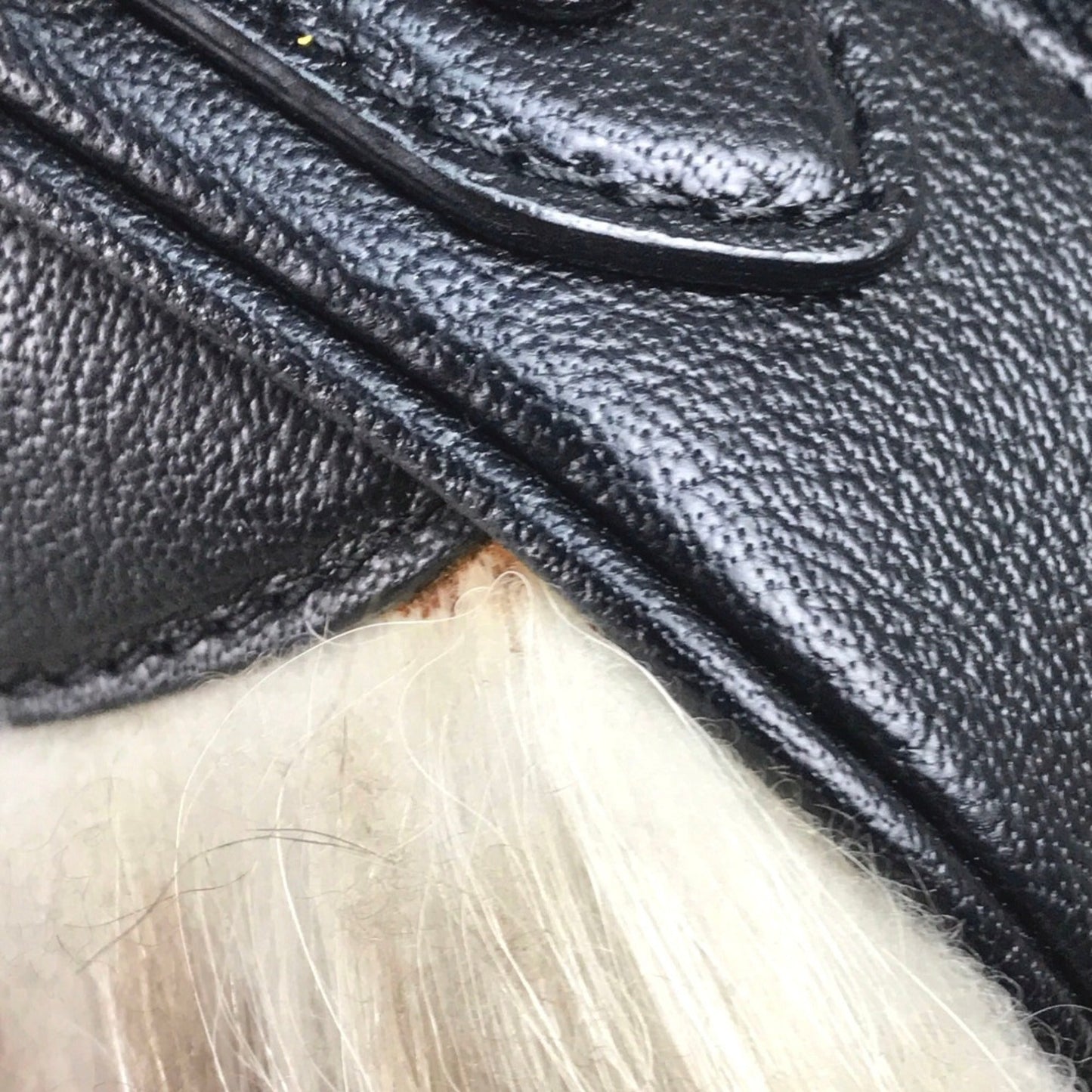 Louis Vuitton  Leather Handbag