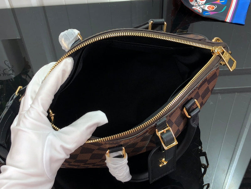 Alice  Bags- Louis Vuittons  - 15926