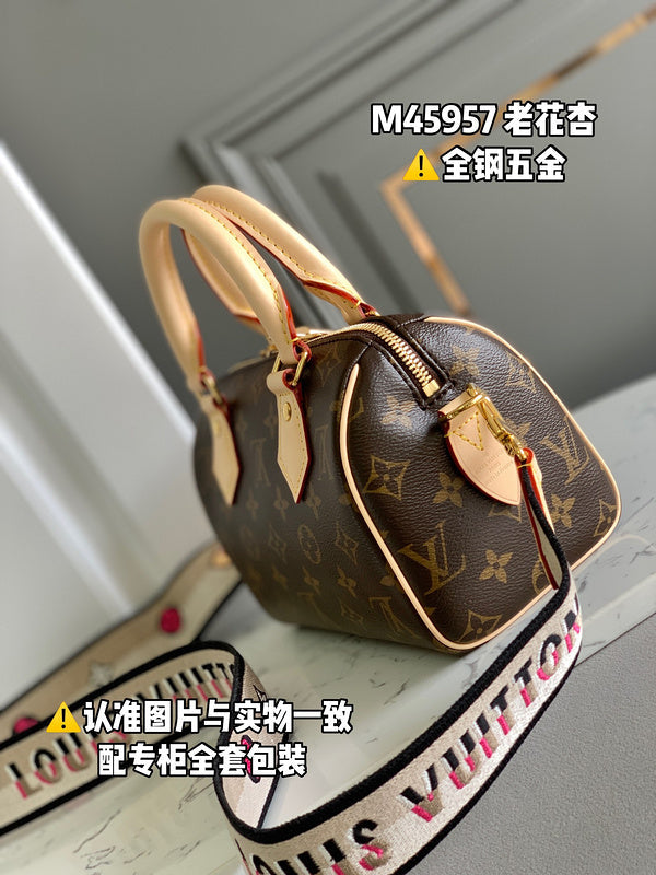 Alice Bags- Louis Vuittons  - 16455