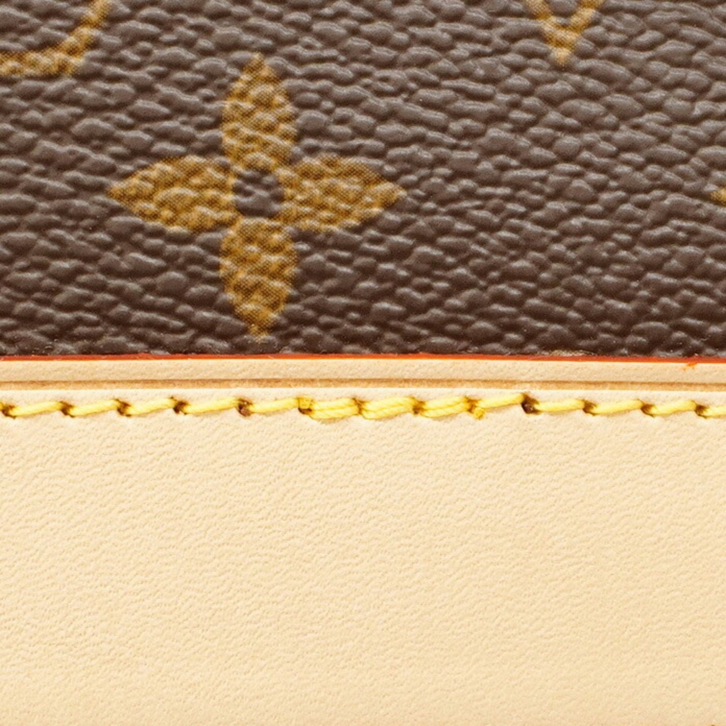 Louis Vuitton  Handbag