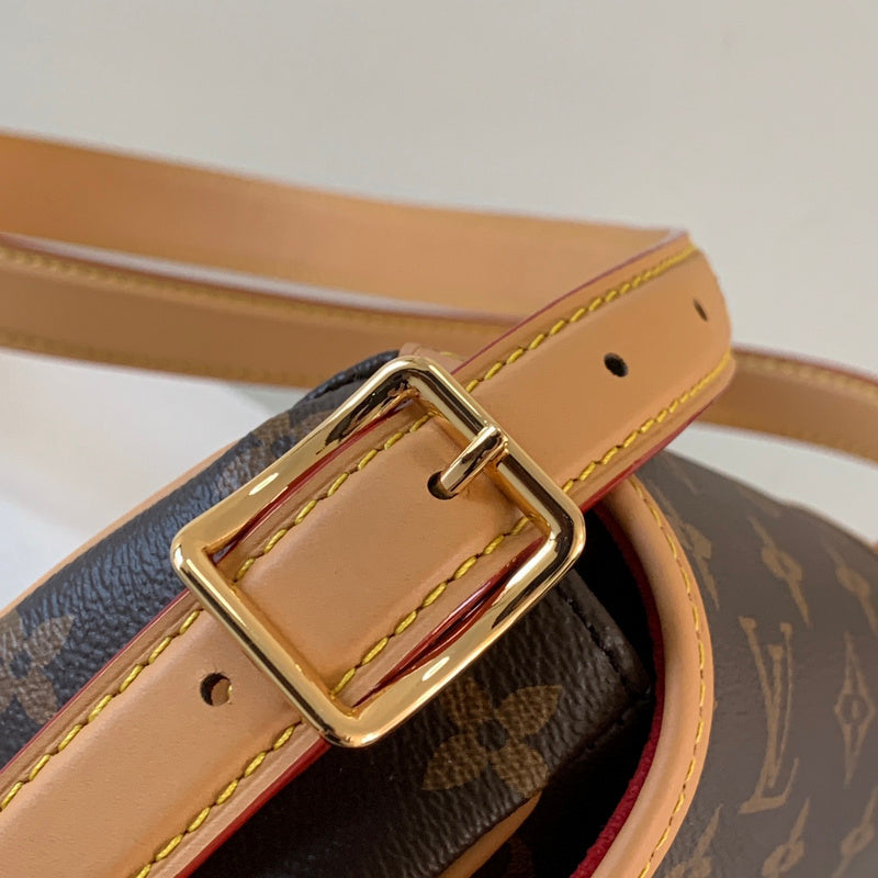 Alice Bags- Louis Vuittons  - 16248