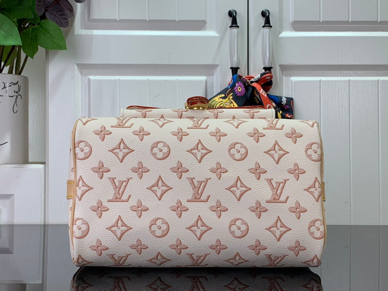 Alice Bags- Louis Vuittons  - 16377