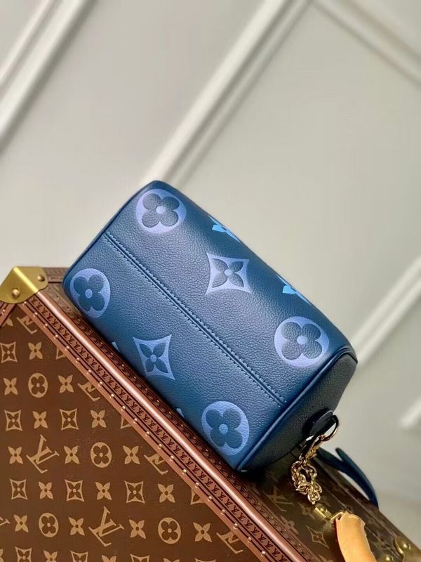 Alice bags - Louis Vuittons  - 15364