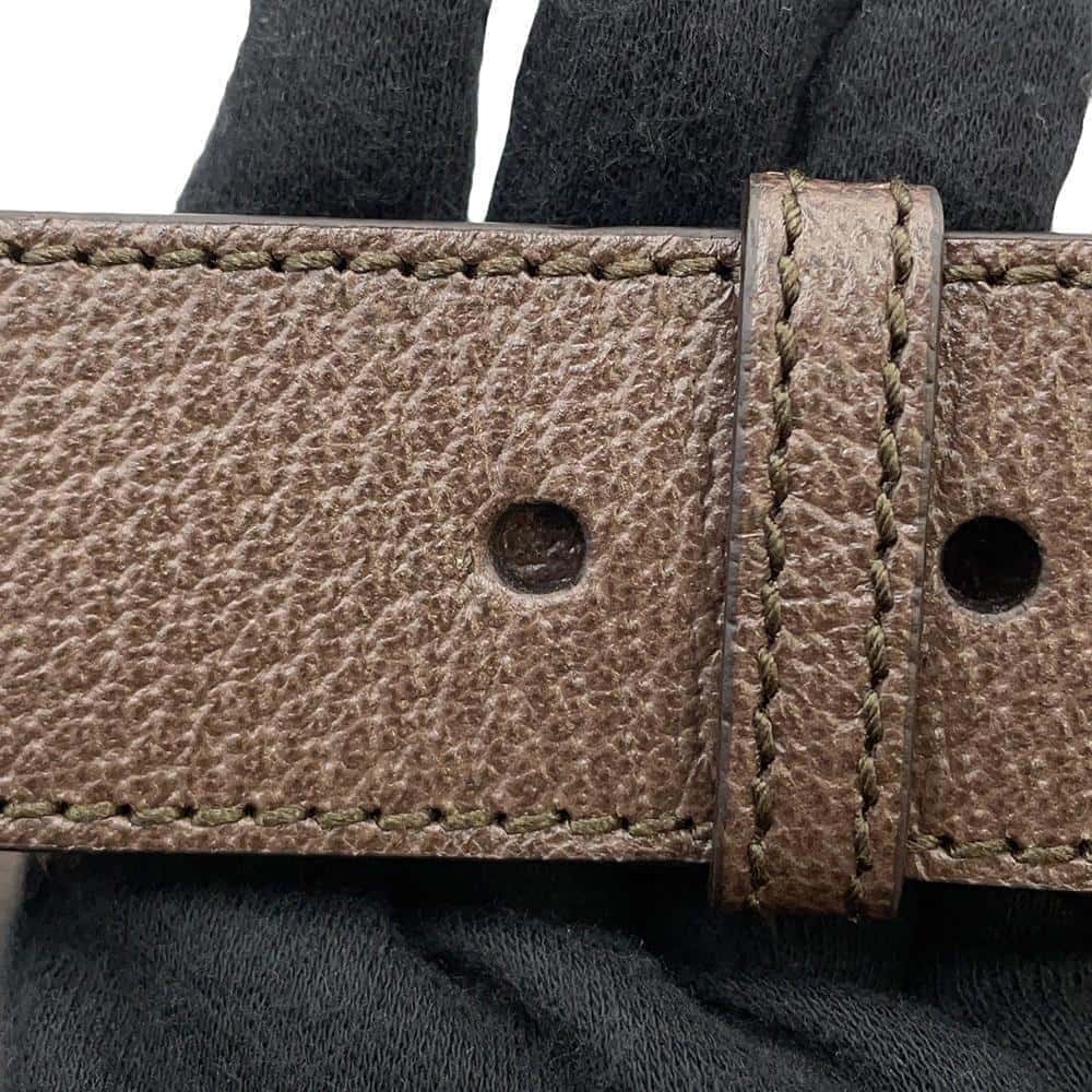 GUCCI Belt Bag 100th Anniversary Limited Edition Brown 602695 Leather