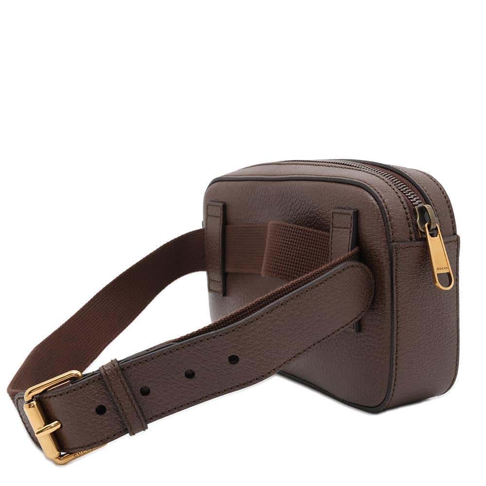 GUCCI Belt Bag 100th Anniversary Limited Edition Brown/Multicolor 602695 Leather