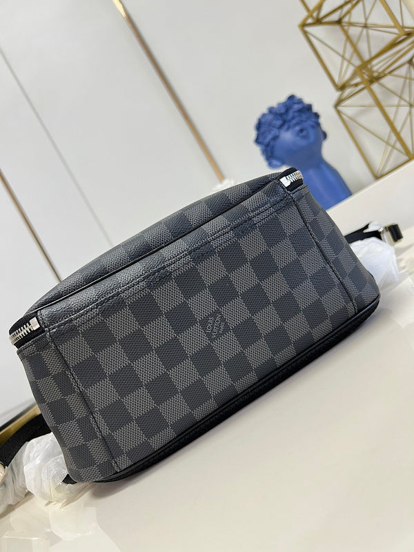Alice Bags- Louis Vuittons  - 16465