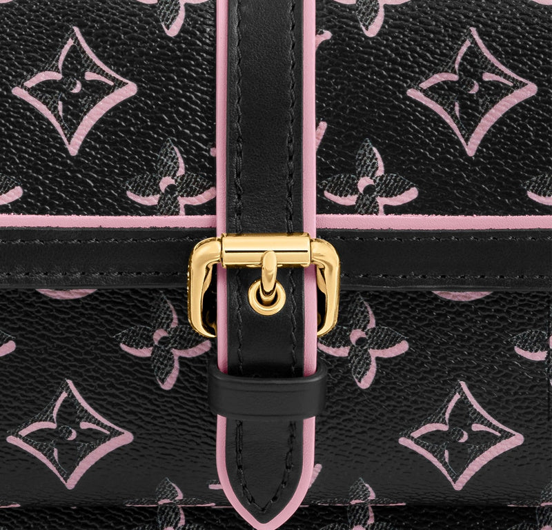 Alice Bags- Louis Vuittons  - 16382