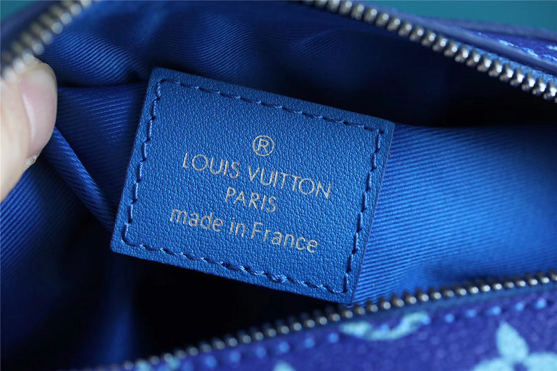 Alice bags - Louis Vuittons  - 10191