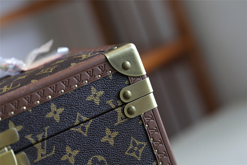Alice bags - Louis Vuittons  - 9519