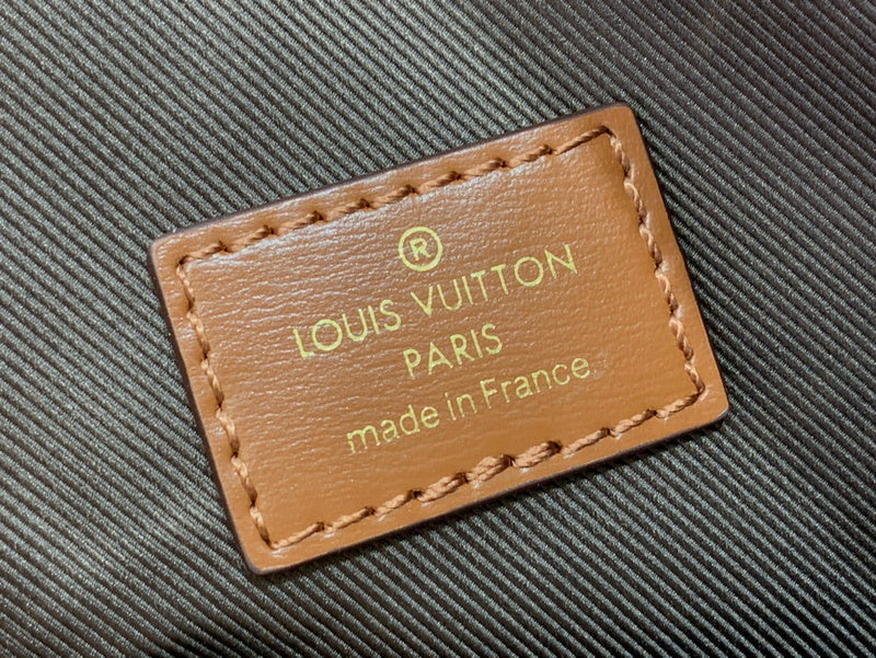 Alice Bags- Louis Vuittons  - 16372