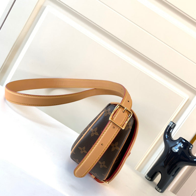 Alice Bags- Louis Vuittons  - 16248