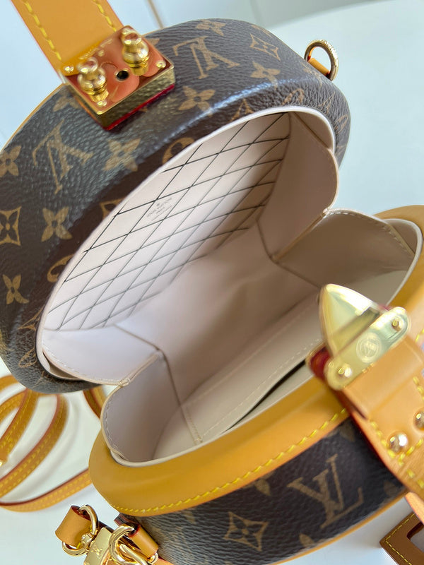 Alice Bags- Louis Vuittons  - 16125