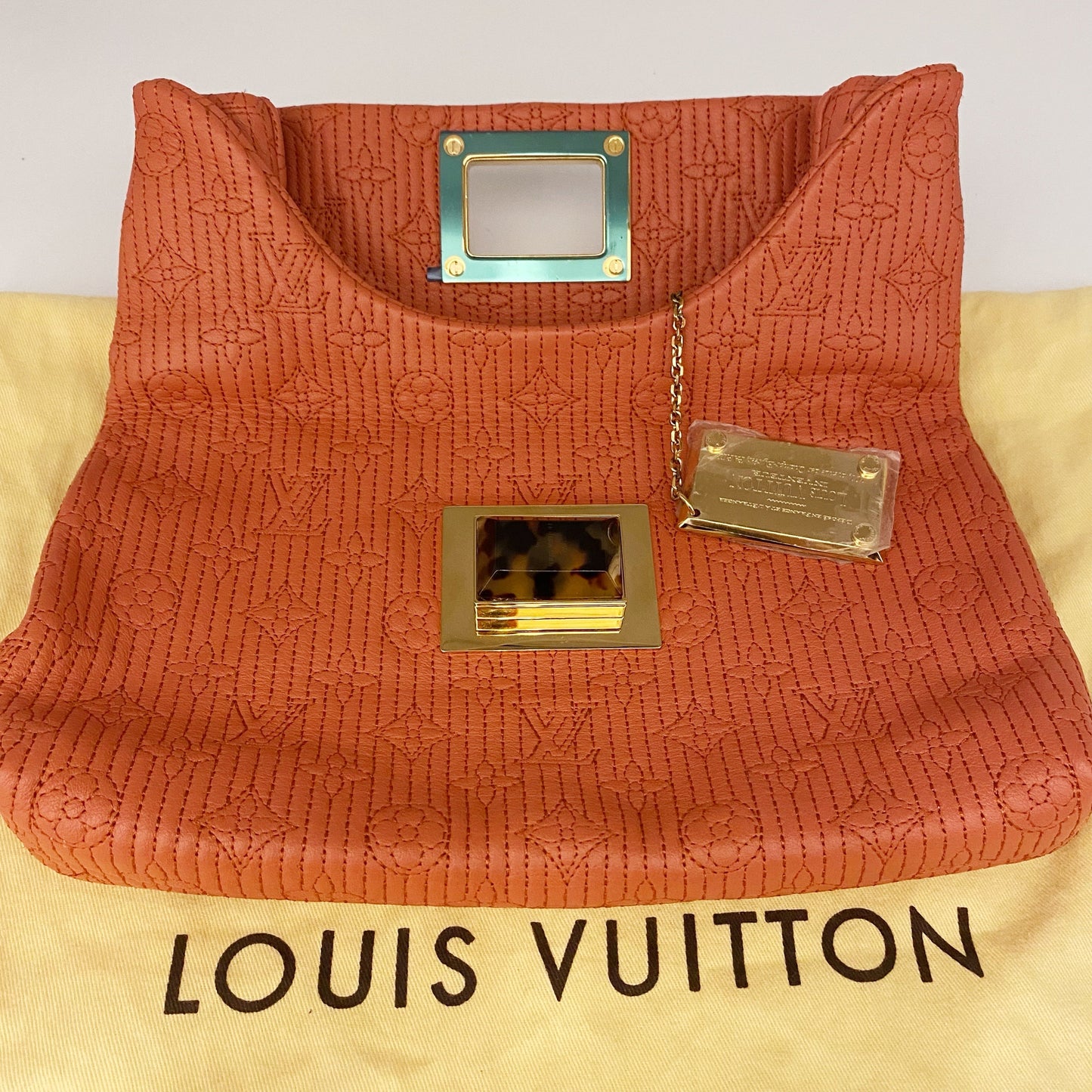 Louis Vuitton Clutch TWS pop