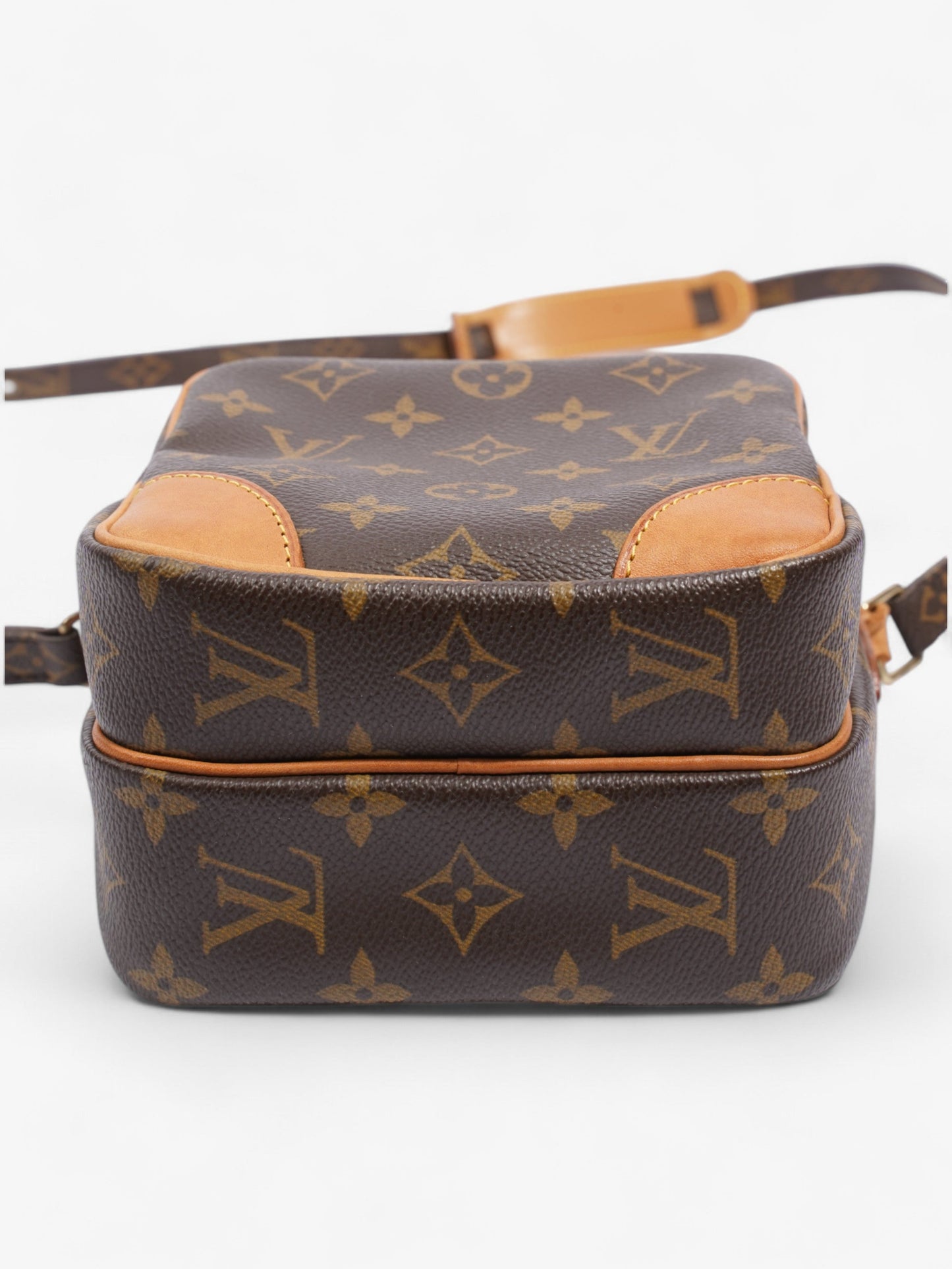 Louis Vuitton Amazon Monogram Coated Canvas