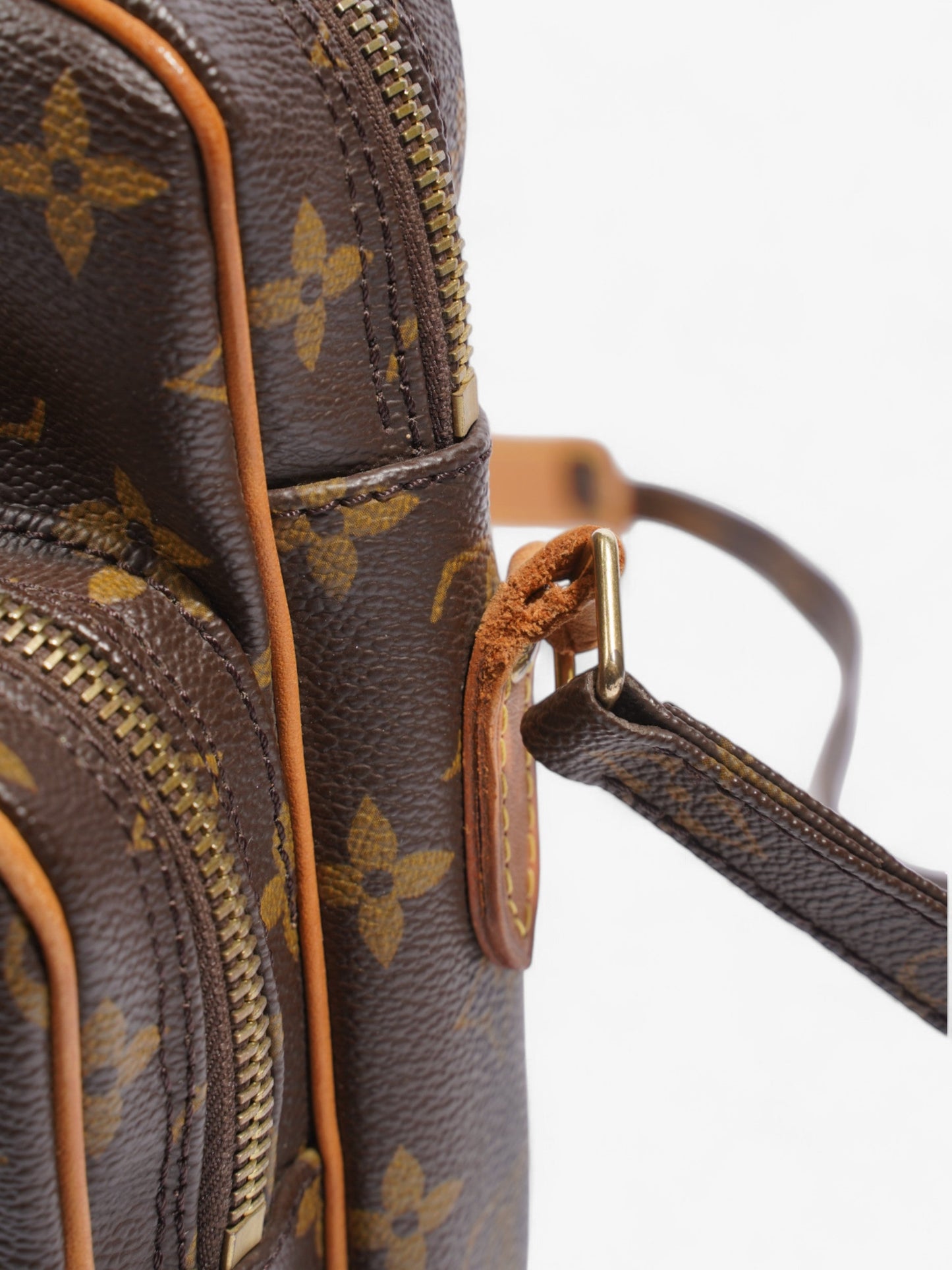 Louis Vuitton Amazon Monogram Coated Canvas