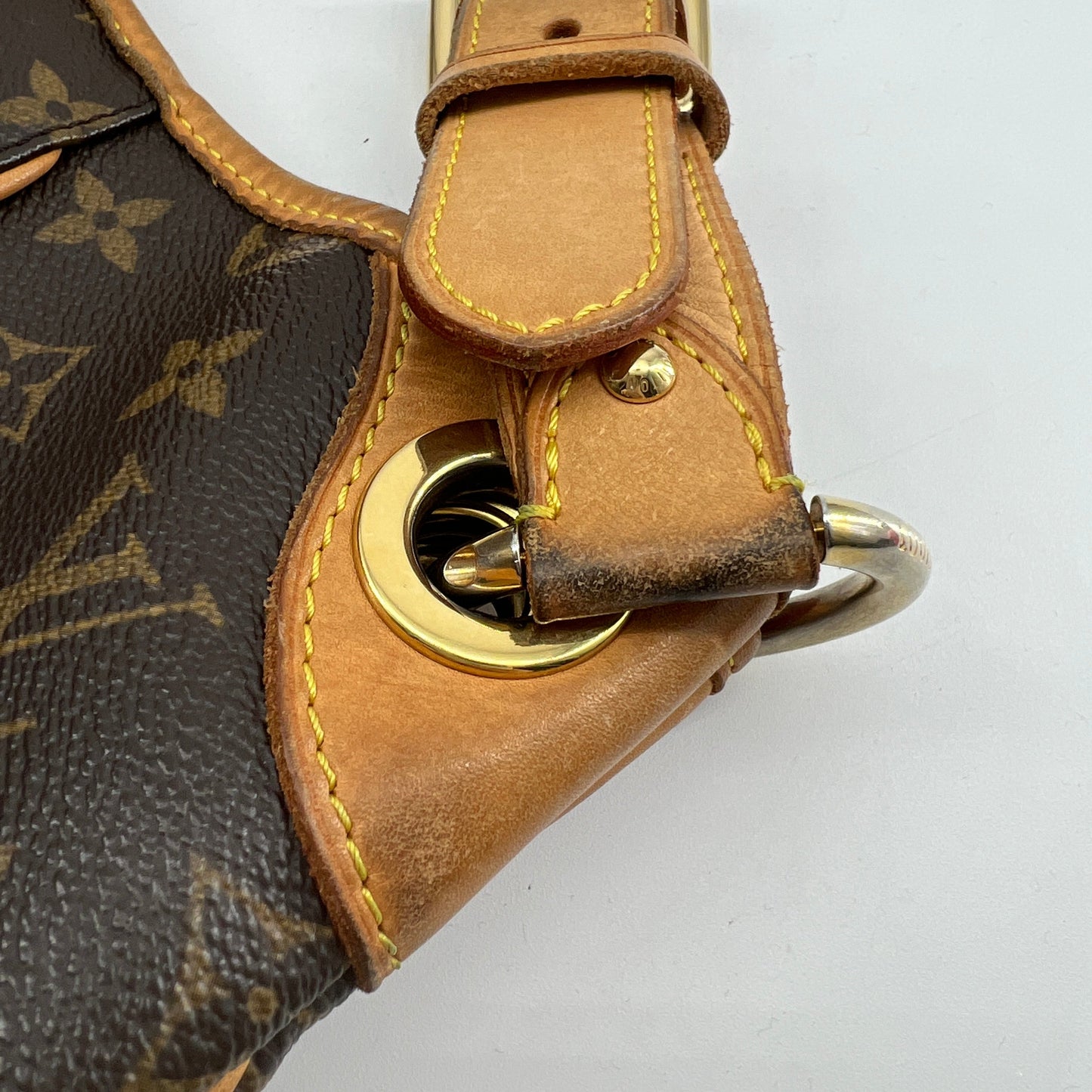 Louis Vuitton Galliera Bag TWS